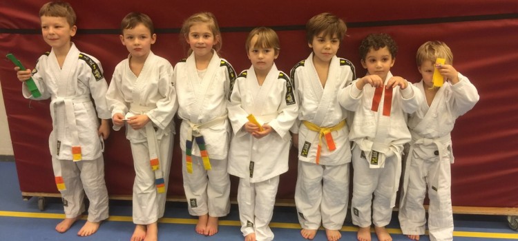 Judo French / English open classes in April